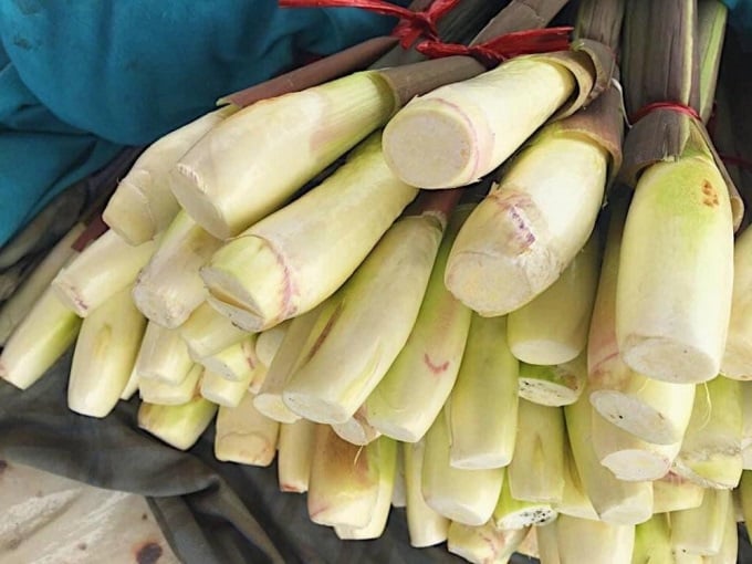 rau-it-bi-phun-thuoc-07