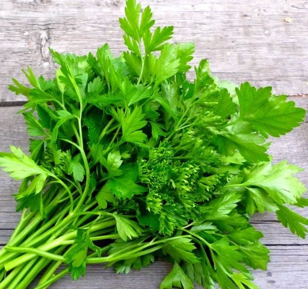 thuc-pham-giau-vitamin-e-06