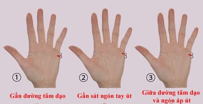 xem-chi-tay-biet-tuoi-ket-hon(1)