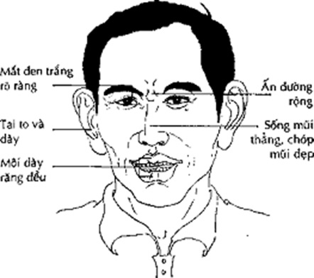 xem-tuong-khuon-mat-dan-ong