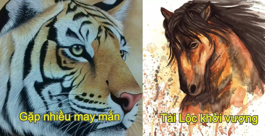 quy-mao-phat-tai
