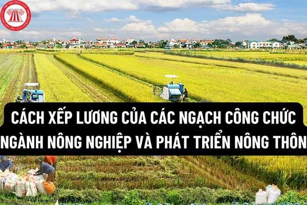 nhung-chinh-sach-quan-trong-ve-luong-cong-chuc-vien-chuc-co-hieu-luc-tu-thang-10-2022_1