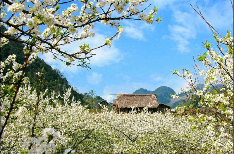 thang-sinh-am-lich-cua-nguoi-vuong-van-quy-nhan-2