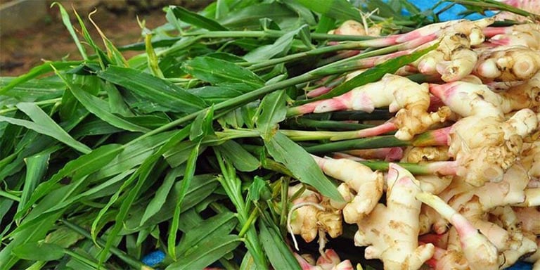 loai-cu-re-beo-cho-viet-nao-cung-co-quy-nhu-nhan-sam-di-cho-thay-nen-mua-ngay_3