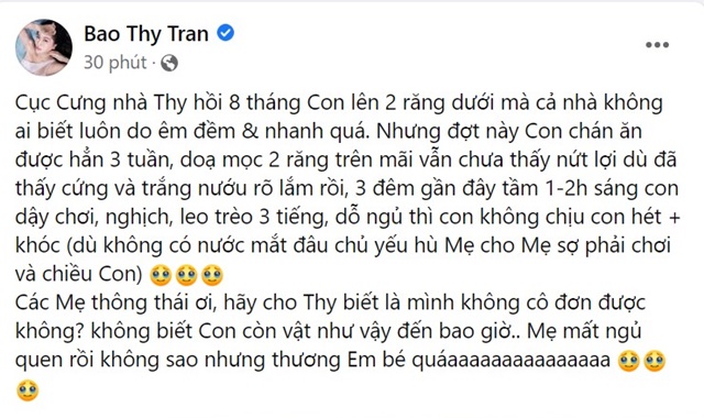 bao-thy