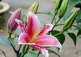 images (7)