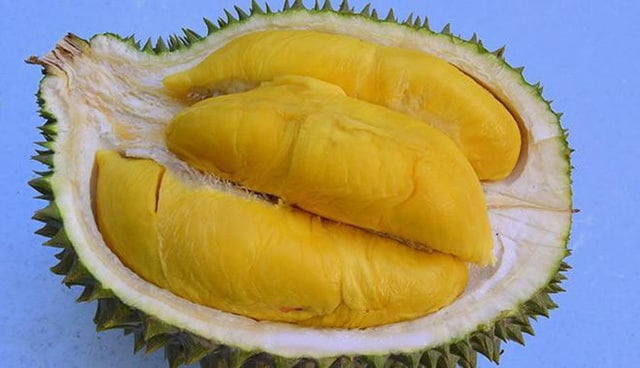 sau-rieng-6