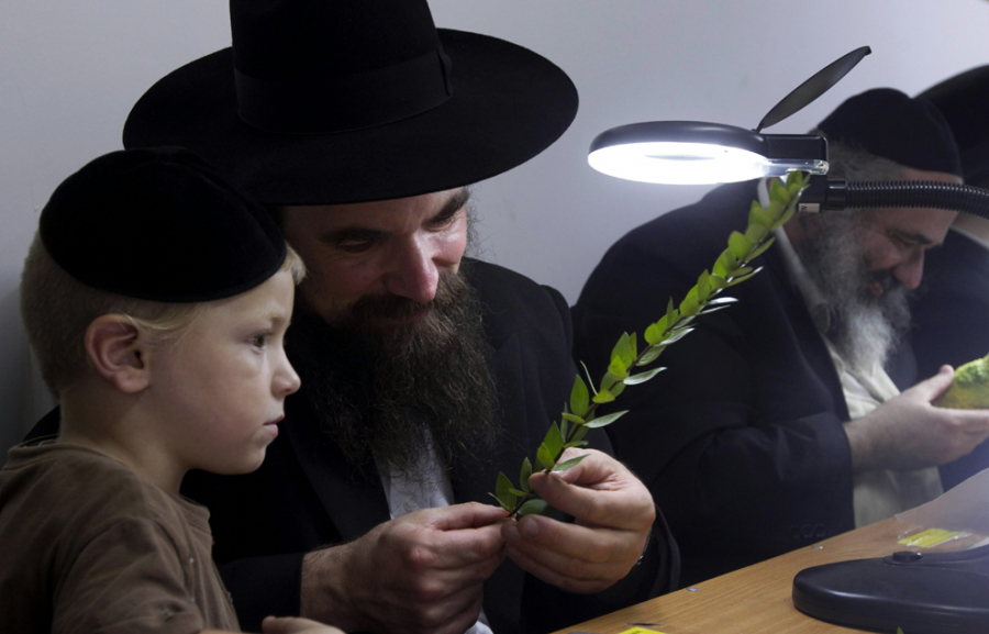 149568619259434-504
