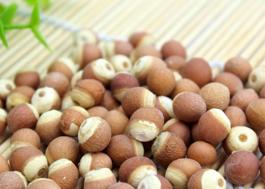 6-loai-thuc-pham-re-hon-nhan-sam-re-beo-ban-day-mhoi-cho-2