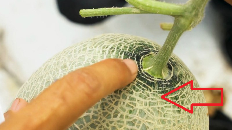 Empty