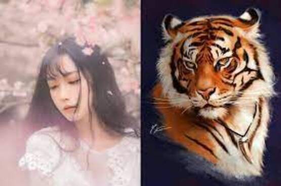 download (41) (1)