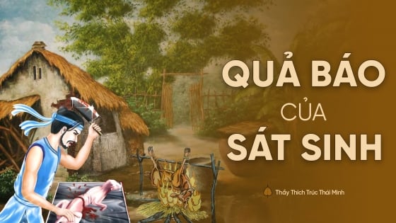 sat-sinh-va-qua-bao-theo-goc-nhin-dao-phat-121501