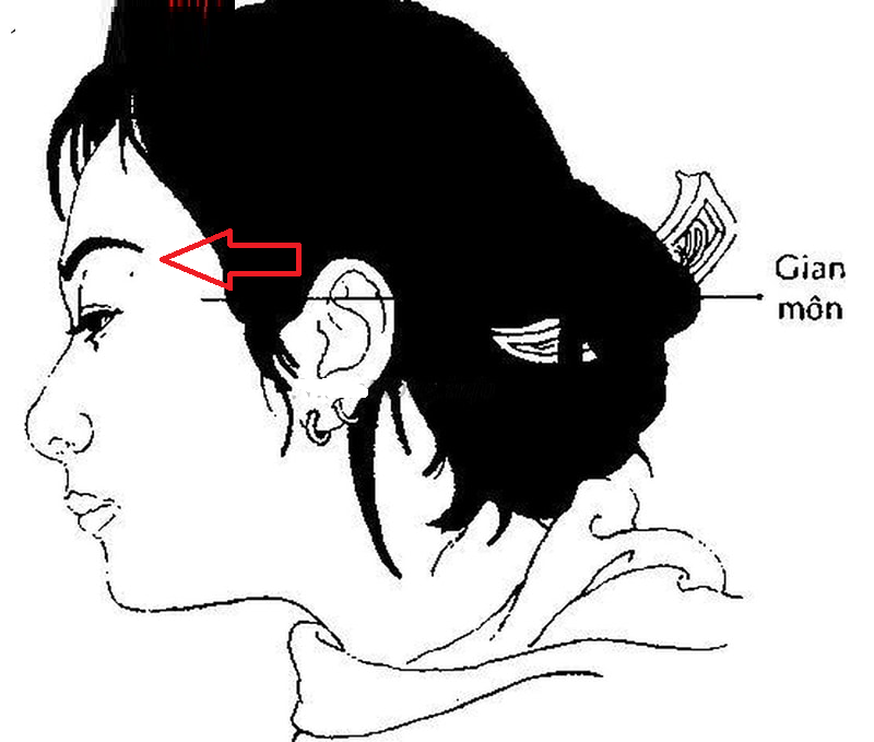 788243B7-DD0B-4939-BB24-A7E3F21B75C4