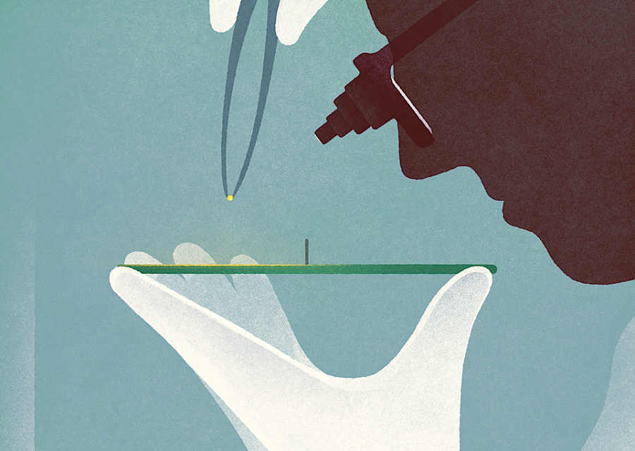06-illustration-Strautniekas