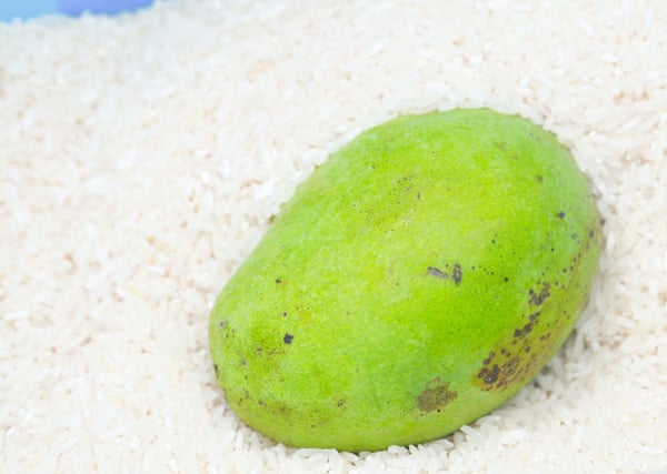 dat-gao-duoi-goi-03