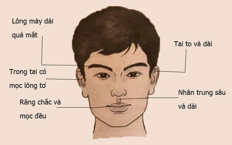 dan-ong3-to-2-dai