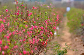 images (6)