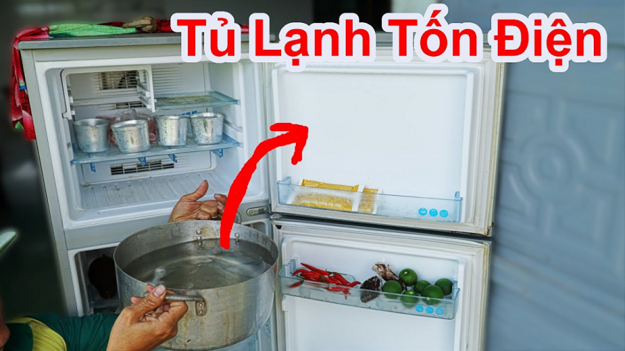 meo-ngam-vo-buoi10