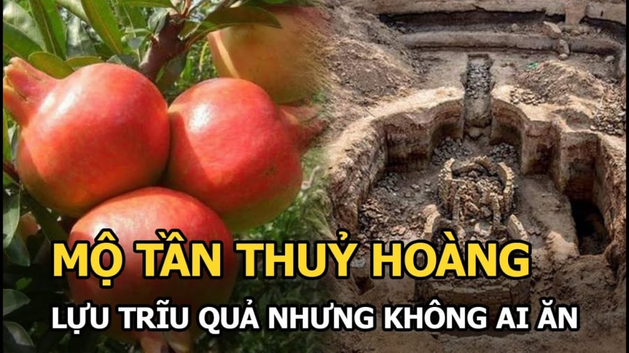 cay-luu-0moc-tren-lng-mo-tan-thuy-hoang-va-diue-bat-ngo-khi-bo-ra+_1