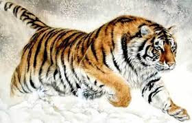 images (7)