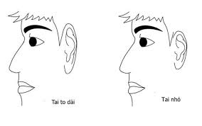 images (9)