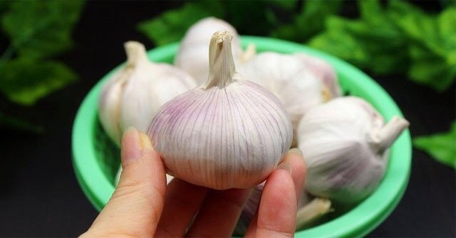 dietkien