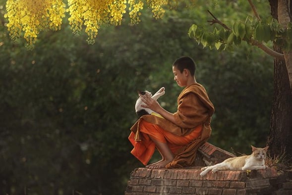 kho-dau-nhat-doi-nguoi-la-gi-1-1050
