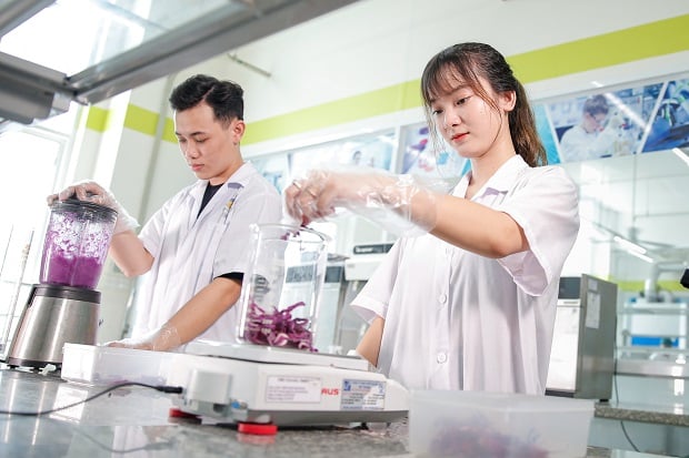 hoc-9-nganh-nay-ra-truong-khong-lo-thieu-viec-lam-thu-nhap-hot-bac-o-the-len--toi-22 ty-dong_1