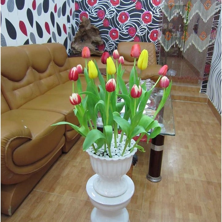5 loAi hoa tuy dep nhung khong may man de trong nha khac gi moi goi van xui So 2 nhieu nha yeu thic_3