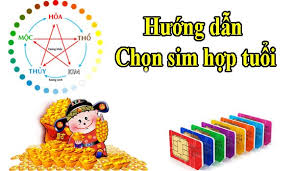 images (5)