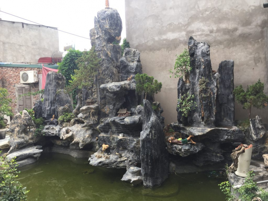 khong-trong-cay-lon-truoc-cua-03