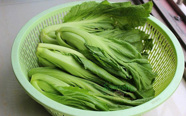 muoi-dua-cai-01