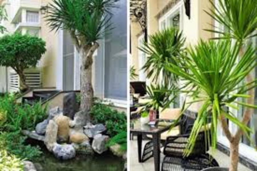 images (3) (1)
