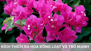 images (9)