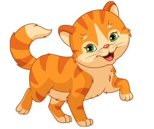 mao