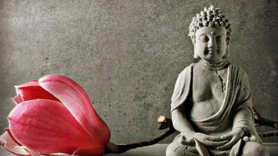 dua-phat-chi-day-loai-bo-au-3-ham-muon-nay-tai-hoa-tu-khan-se-doi-xa_3