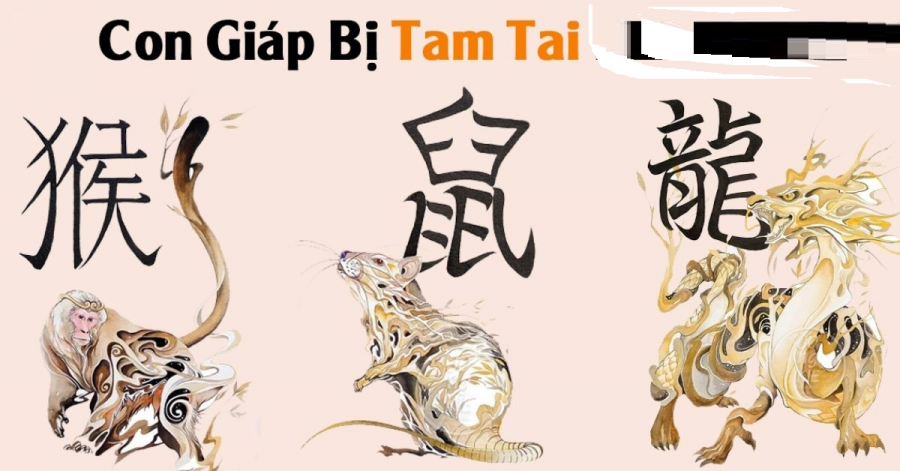 cin-giap-tam-tai-2023
