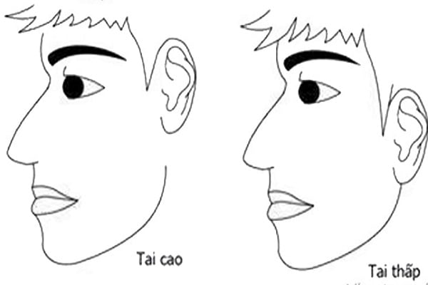 tuong-nguoi-bam-sinh-may-man-05