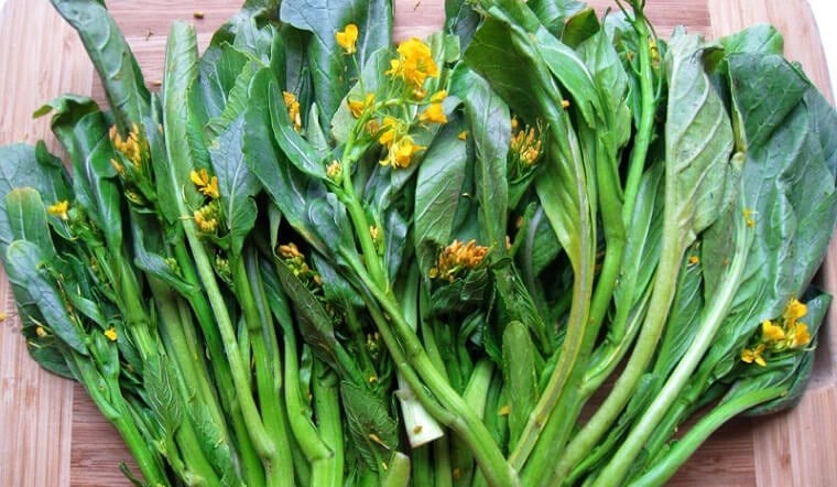 rau-ho-cai-06