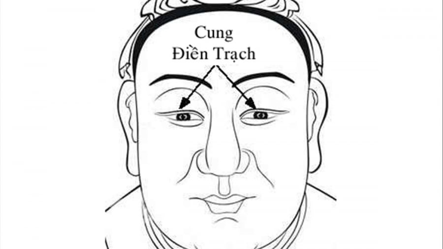 xem-tuong-05