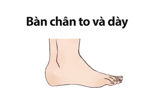 chan-to-day-1430-ngoisaovn-w541-h336