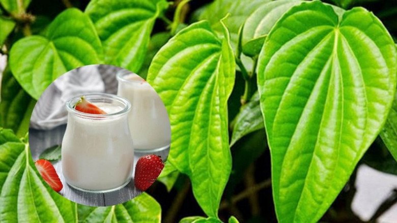 dung-moi-hoat-dong-vi-bong-nang-khi-dung-meo-dan-gian-thuy-ngan-vua-tai-xuat-nhan-sac-io7waeao-la-trau-khong-lam-trang-da-3-1670301956-360-width780height439