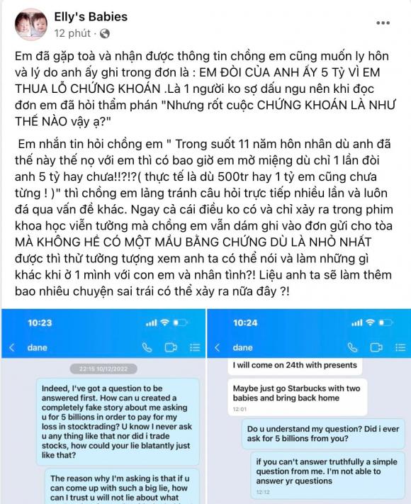 elly-tran-22bat-ngua22-vi-chong-tay-nop-don-len-toa-doi-ly-hon-voi-li-do-co-doi-5-ty-tien-thua-chung-khoan-3-ngoisaovn-w1004-h1232