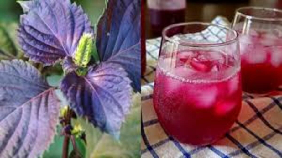 images (31) (1)
