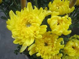 images (47)