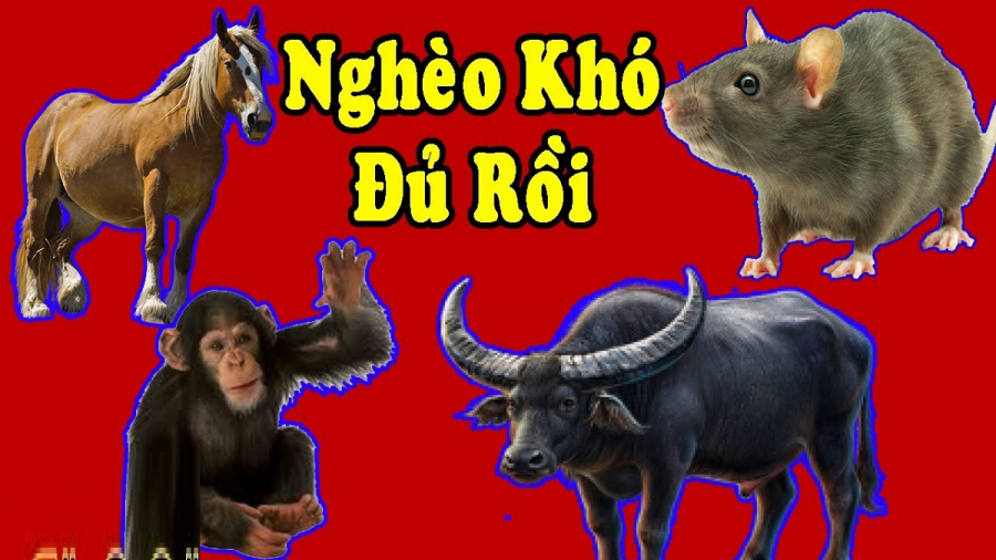 con-giap-het-den