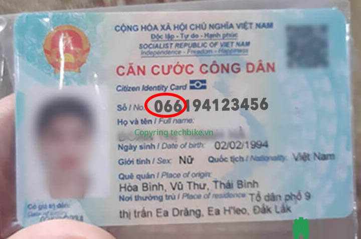 cccd-gan-chip