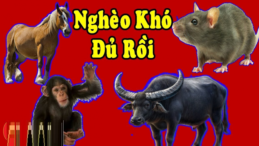 con-giap-giau-to