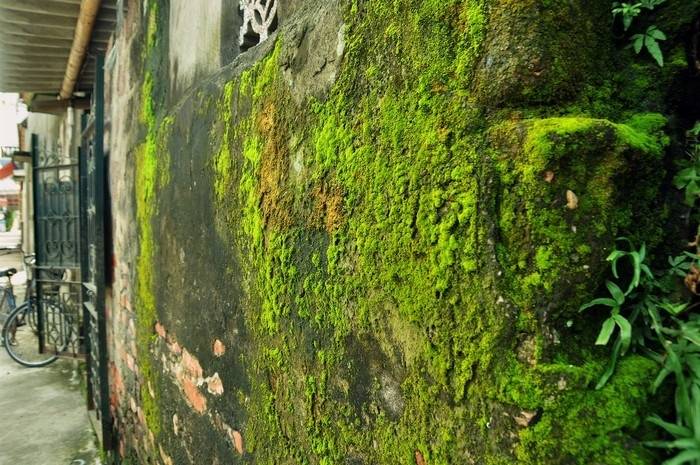kieu-nha-re-may-cung-ko-nen-mua-4
