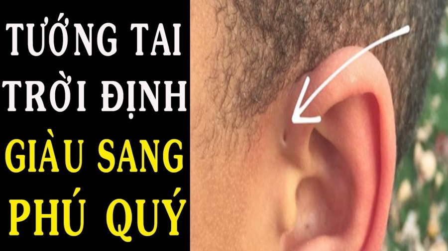 tuong -tai-3